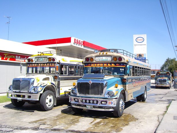 International - Blue Bird (en Guatemala)
Foto tomada de http://portierrasmayas.wordpress.com
Palabras clave: guatemala