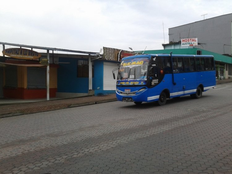 ISUZU NPR CARBUSS
ISUZU NPR CARBUSS
Palabras clave: ISUZU NPR CARBUSS