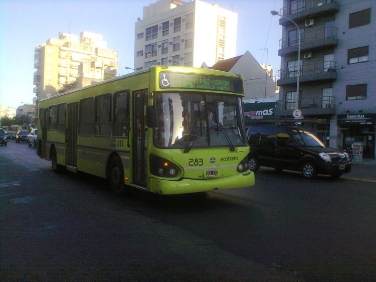 T.A.T.S.A. - Puma D 12 - Ecotrans
Línea 136 - Interno 283
