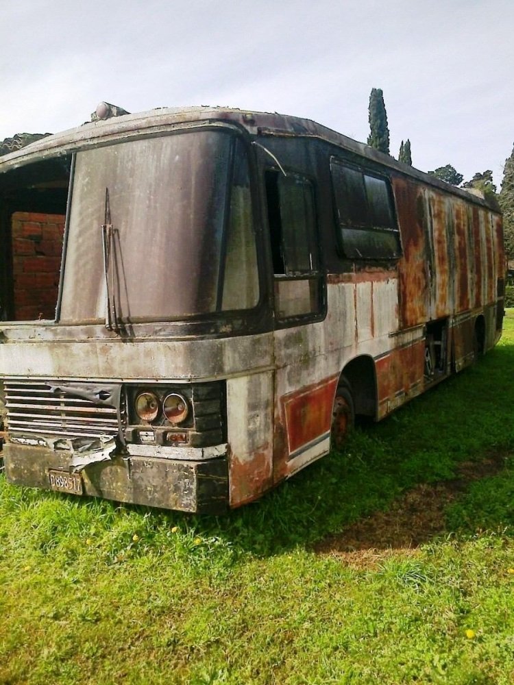 Mercedes-Benz O-170 - D.I.C. - Particular 
C 898517
Este Puma esta a la venta en La Plata, Buenos Aires.
A simple vista vemos que  tiene los colores de la ex 
Compañía Río de la Plata, pero los que mas me sorprendió 
es haberlo encontrado fotográficamente (gracias retro_129) 
cuando prestaba servicios en dicha empresa, observen 
las patentes que son las mismas en ambas imágenes, fue el interno 195.
Foto: Mercadolibre
http://sp2.fotolog.com/photo/2/1/48/retro_129/1286516292897_f.jpg
