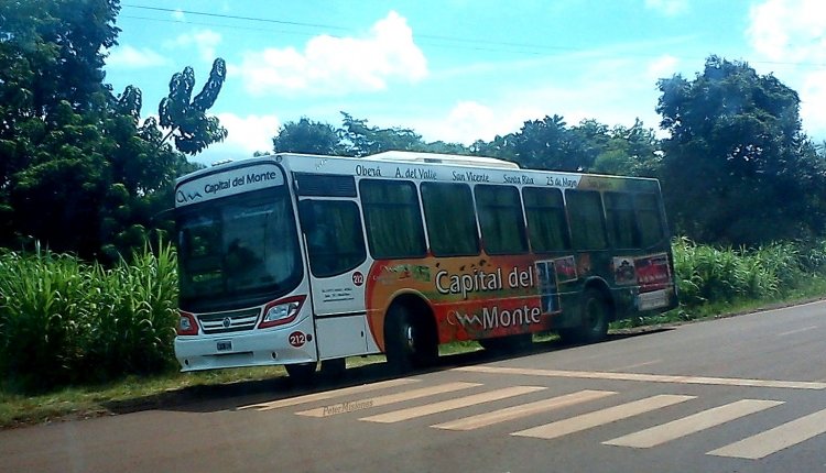 Mercedes-Benz OF 1418 - Italbus - Capital Del Monte
Interno 212
