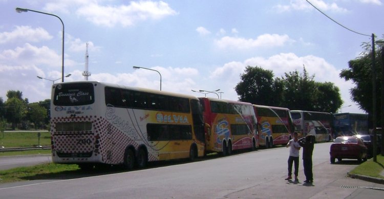 Mercedes-Benz O-500 - Niccoló - Silvia
Empresa Silvia y Zenit
Servicio charter de feligreses y peregrinos a la parroquia Natividad del Señor (Rosario).
Datos de adelante a atrás: internos 200, 60 y 204 (Silvia).

Foto: Sebastián Gutiérrez.
Palabras clave: Empresa Silvia