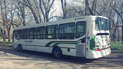 Mercedes-Benz OH 1718 L - Metalpar - M.O.Q.S.A.
Línea 159 (Buenos Aires)
Palabras clave: linea 159 MOQSA micro omnibus quilmes s.a.t