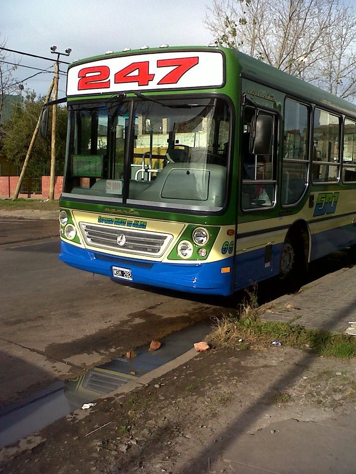 Mercedes-Benz OF 1418 - Ugarte - Expreso Nueve De Julio 
MSH 282
Línea 247 - Interno 66
Palabras clave: linea 247 expreso nueve de julio s.a.t
