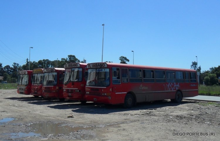 Mercedes-Benz OF 1620 - La Favorita 
TRUCHITO DE RUTA 3 KM 29
Palabras clave: LA FAVORITA