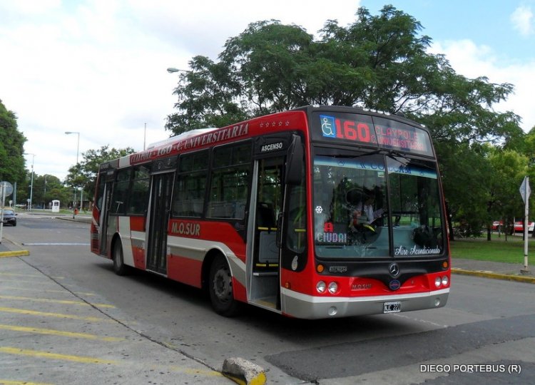 Mercedes-Benz OH 1618 L - Nuovobus Menghi PH 0037 - M.O. Sur
NJC 221
[url=https://bus-america.com/galeria/displayimage.php?pid=51985]https://bus-america.com/galeria/displayimage.php?pid=51985[/url]
[url=https://bus-america.com/galeria/displayimage.php?pid=51986]https://bus-america.com/galeria/displayimage.php?pid=51986[/url]
[url=https://bus-america.com/galeria/displayimage.php?pid=62378]https://bus-america.com/galeria/displayimage.php?pid=62378[/url]

Línea 160 (Buenos Aires), interno 6
Palabras clave: NUOVOBUS
