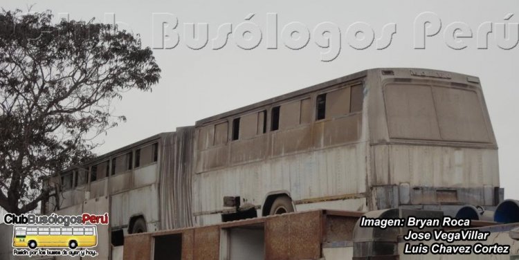Marcopolo "Articulado" 1984 - Ex-ENATRU Peru (Expreso-4)
Uno de los articulados Brasileños con chasis B-58 que llegaron el año 84 para ENATRU-PERU. 

Hubo un primer lote de articulados Marcopolo Modelo: "San Remo" llegados en el 81. 
Palabras clave: marcopolo articulado san remo lima peru volvo b 58 