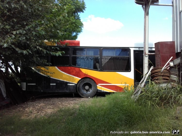 Mercedes-Benz OH1621L - Imeca GTR21 Semi Bajo - Basa / T.I.R.S.A.
CMT576
Desde 0km en T.I.R.S.A. hasta el año 2009 que fue llevado a Paraná junto a varias unidades para quedar en Basa.
Es la mejor combinación entre urbano e interurbano, de 0km, si mal no recuerdo tenía un elevador para silla de ruedas.
Este coche circuló para Basa en la linea Paraná - Villa Urquiza hasta 2014 que perdió esta linea. Luego su utilizó para servicios especiales y traslado de personal.
Foto 1 (Exterior): [url=https://bus-america.com/galeria/displayimage.php?pid=49520]https://bus-america.com/galeria/displayimage.php?pid=49520[/url]
Foto 2 (Exterior): [url=https://bus-america.com/galeria/displayimage.php?pid=49521]https://bus-america.com/galeria/displayimage.php?pid=49521[/url]
Foto 3 (Exterior): [url=https://bus-america.com/galeria/displayimage.php?pid=49527]https://bus-america.com/galeria/displayimage.php?pid=49527[/url]
Foto 4 (Exterior): Foto actual
Foto 5 (Cabina): [url=https://bus-america.com/galeria/displayimage.php?pid=49523]https://bus-america.com/galeria/displayimage.php?pid=49523[/url]
Foto 6 (Interior): [url=https://bus-america.com/galeria/displayimage.php?pid=49528]https://bus-america.com/galeria/displayimage.php?pid=49528[/url]
Foto 7 (Interior): [url=https://bus-america.com/galeria/displayimage.php?pid=49524]https://bus-america.com/galeria/displayimage.php?pid=49524[/url]
Foto 8 (Interior): [url=https://bus-america.com/galeria/displayimage.php?pid=49525]https://bus-america.com/galeria/displayimage.php?pid=49525[/url]
Foto 9 (Motor): [url=https://bus-america.com/galeria/displayimage.php?pid=49529]https://bus-america.com/galeria/displayimage.php?pid=49529[/url]
Foto 10 (Motor): [url=https://bus-america.com/galeria/displayimage.php?pid=49526]https://bus-america.com/galeria/displayimage.php?pid=49526[/url]
Palabras clave: OH1621L Imeca GTR21 basa tirsa T.I.R.S.A. 12