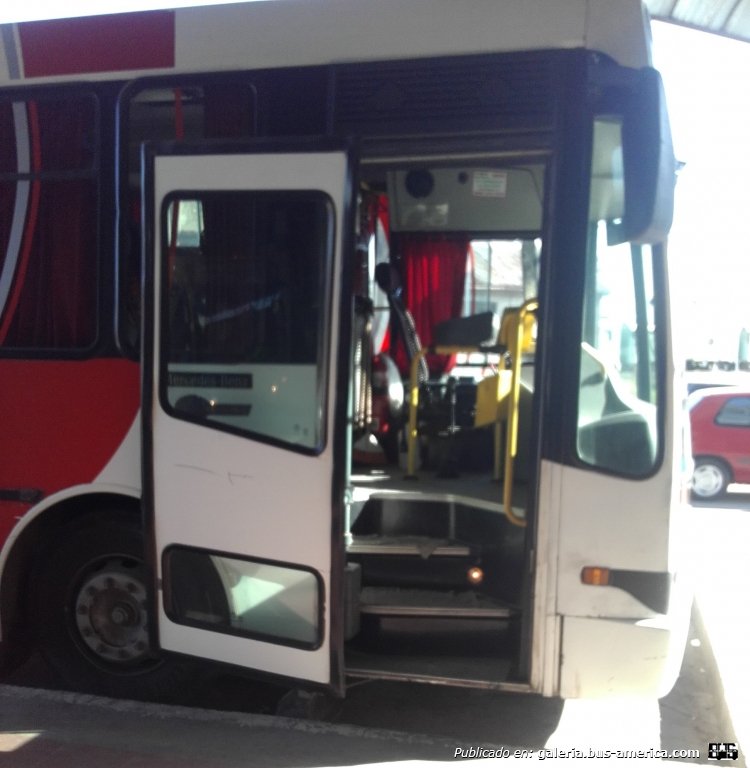 Mercedes-Benz OH 1518 (Alargado) - Nuovobus - E.V.H.S.A.
LIH105 
Foto 1: [url=https://bus-america.com/galeria/displayimage.php?pid=49382]https://bus-america.com/galeria/displayimage.php?pid=49382[/url]
Foto 2: [url=https://bus-america.com/galeria/displayimage.php?pid=49383]https://bus-america.com/galeria/displayimage.php?pid=49383[/url]
Foto 3: [url=https://bus-america.com/galeria/displayimage.php?pid=49384]https://bus-america.com/galeria/displayimage.php?pid=49384[/url]
Foto Interior: [url=https://bus-america.com/galeria/displayimage.php?pid=49385]https://bus-america.com/galeria/displayimage.php?pid=49385[/url]

Hasta donde se, es único. Ambas puertas pantograficas se abren hacia afuera y atrás. Musica/radio en toda la unidad, aire acondicionado, asientos grammers altos.
Además esta empresa tiene 2 OH1518 con puertas convencionales que les mostraré próximamente.
Palabras clave: Mercedes-Benz OH1518 Alargado Nuovobus media distancia EVHSA EVH E.V.H. E.V.H.S.A.