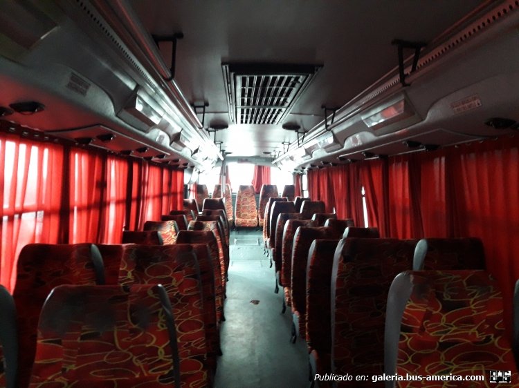 Mercedes-Benz OH1518 - Nuovobus - E.V.H.S.A.
IYG256
Foto 1: [url=https://bus-america.com/galeria/displayimage.php?pid=49400]https://bus-america.com/galeria/displayimage.php?pid=49400[/url]
Foto 2: [url=https://bus-america.com/galeria/displayimage.php?pid=49396]https://bus-america.com/galeria/displayimage.php?pid=49396[/url]
Foto 3: [url=https://bus-america.com/galeria/displayimage.php?pid=49395]https://bus-america.com/galeria/displayimage.php?pid=49395[/url]
Foto 4: [url=https://bus-america.com/galeria/displayimage.php?pid=49394]https://bus-america.com/galeria/displayimage.php?pid=49394[/url]
Foto 5 Interior: [url=https://bus-america.com/galeria/displayimage.php?pid=49403]https://bus-america.com/galeria/displayimage.php?pid=49403[/url]
Foto 6 Interior: (foto actual)
Foto 7 Interior: [url=https://bus-america.com/galeria/displayimage.php?pid=49401]https://bus-america.com/galeria/displayimage.php?pid=49401[/url]
Foto 8 Interior: [url=https://bus-america.com/galeria/displayimage.php?pid=49393]https://bus-america.com/galeria/displayimage.php?pid=49393[/url]
Como les había comentado antes, los otros 2 OH1518 con carrocería Nuovobus de Vercelli. Puerta de 4 hojas adelante y de 2 hojas atrás. Aire acondicionado y asientos mullidos de pana (Fijos). Como Curiosidad, el interno 60, tiene el vidrio separador detrás del chofer de un Ottaviano (Foto 5).
Palabras clave: Mercedes-Benz OH1518 Nuovobus interurbano EVHSA EVH E.V.H. E.V.H.S.A.