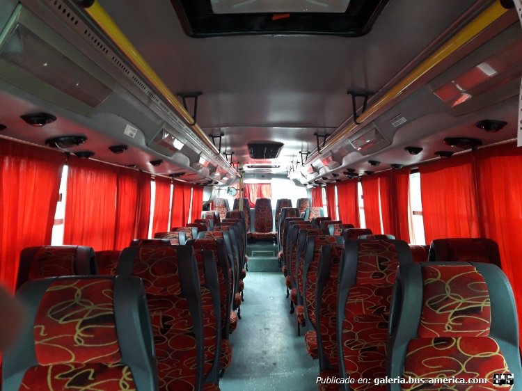 Mercedes-Benz OH 1518 (Alargado) - Nuovobus - E.V.H.S.A.
LIH105 
Foto 1: [url=https://bus-america.com/galeria/displayimage.php?pid=49382]https://bus-america.com/galeria/displayimage.php?pid=49382[/url]
Foto 2: [url=https://bus-america.com/galeria/displayimage.php?pid=49383]https://bus-america.com/galeria/displayimage.php?pid=49383[/url]
Foto 3: [url=https://bus-america.com/galeria/displayimage.php?pid=49384]https://bus-america.com/galeria/displayimage.php?pid=49384[/url]
Foto 4: [url=https://bus-america.com/galeria/displayimage.php?pid=49381]https://bus-america.com/galeria/displayimage.php?pid=49381[/url]

Hasta donde se, es único. Ambas puertas pantograficas se abren hacia afuera y atrás. Musica/radio en toda la unidad, aire acondicionado, asientos grammers altos.
Además esta empresa tiene 2 OH1518 con puertas convencionales que les mostraré próximamente.

(Vista interior de la unidad)
Palabras clave: Mercedes-Benz OH1518 Alargado Nuovobus media distancia EVHSA EVH E.V.H. E.V.H.S.A.