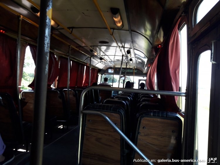 Mercedes-Benz OHL1316 - Corwin 1994 - T.U.P.E.
Antes de la pandemia aun se lo veía funcionando en la linea de vez en cuando!
Frente: https://bus-america.com/galeria/displayimage.php?pid=49360
Culata: https://bus-america.com/galeria/displayimage.php?pid=49361
Interior 2: https://bus-america.com/galeria/displayimage.php?pid=49364
Interior 3: https://bus-america.com/galeria/displayimage.php?pid=49365
Interior 4: https://bus-america.com/galeria/displayimage.php?pid=49362
Palabras clave: Mercedes-Benz OHL1316 Corwin T.U.P.E. TUPE Empalme Villa Constitución interior