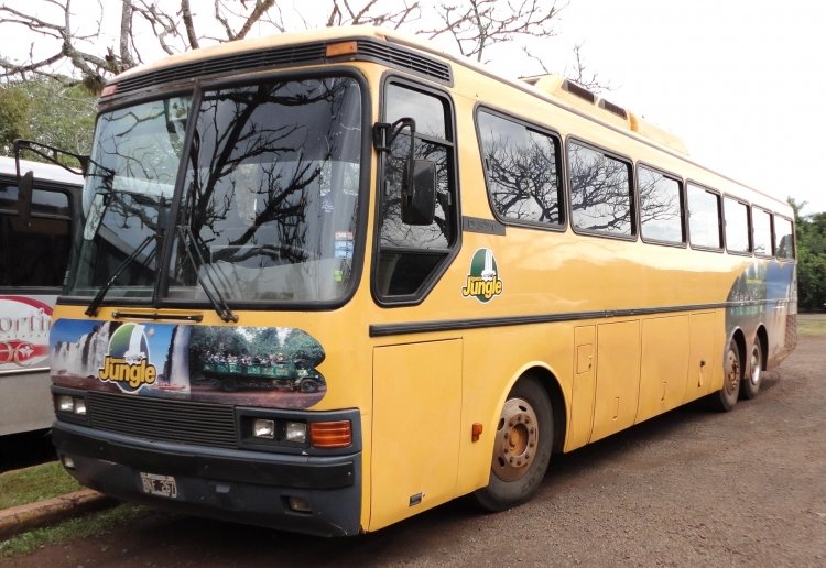 Mercedes-Benz O-371 - Mercedes-Benz (en Argentina) - Iguazú Jungle Explorer
N 096313 - RKF 267
