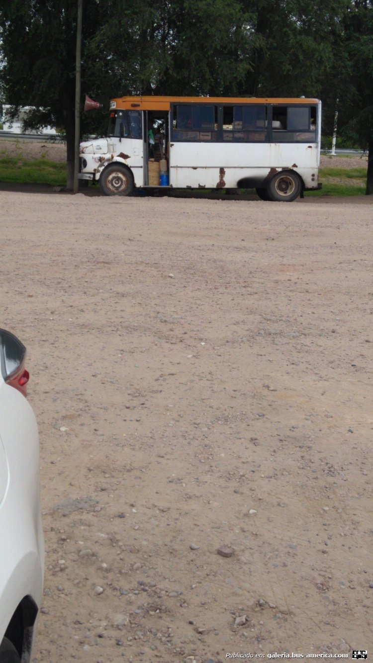 Mercedes-Benz LO 1114 - El Detalle
MB Lo 1114

Particular Verdulero
Palabras clave: Particular