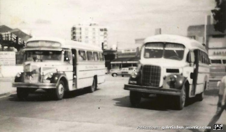 Mercedes-Benz L 312 - Agosti - Andrade
Línea 523 (Pdo. Lanús), interno 18 [derecha]  &  11 [izquierda]

Fotografía: Aníbal F. Trasmonte

Los invito a conocer la historia de esta carrocería en:
[url=https://www.bus-america.com/ARcarrocerias/Agosti/Agosti-histo.php]Historia de Carpitnería y Carrocería A. y C. Agosti[/url]
