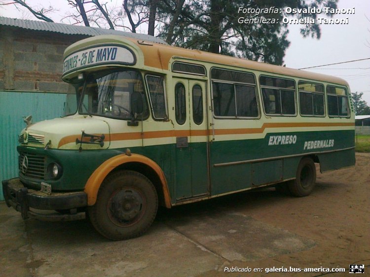 Mercedes-Benz LO 1114 - Alcorta AL - Exp.Pedernales
UXY 006 - ex patente C.911474
[url=https://bus-america.com/galeria/displayimage.php?pid=70152]https://bus-america.com/galeria/displayimage.php?pid=70152[/url]

Exp.Pedernales (Pdo.25 de Mayo)


Fotografía: Osvaldo Tanoni
Gentileza: Ornella Tanoni
