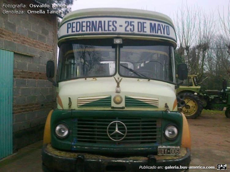 Mercedes-Benz LO 1114 - Alcorta AL - Exp.Pedernales
UXY 006 - ex patente C.911474
[url=https://bus-america.com/galeria/displayimage.php?pid=70151]https://bus-america.com/galeria/displayimage.php?pid=70151[/url]

Exp.Pedernales (Pdo.25 de Mayo)


Fotografía: Osvaldo Tanoni
Gentileza: Ornella Tanoni
