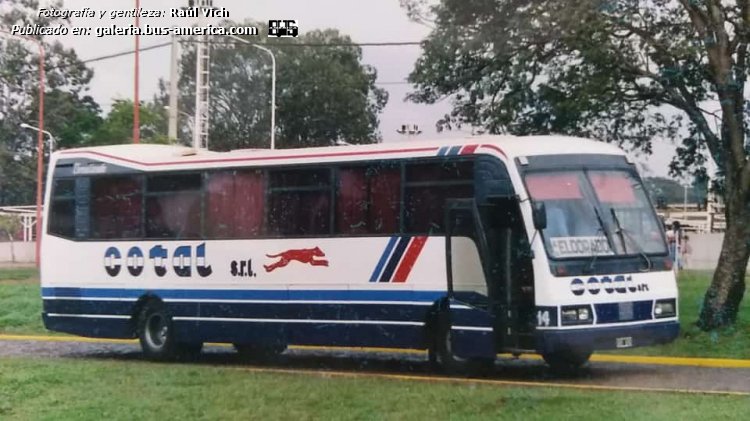 Mercedes-Benz OH - Autarsa San Antonio Hércules - COTAL
COTAL (Prov.Misiones), interno 14

Fotografía y gentileza: Raúl Vich

