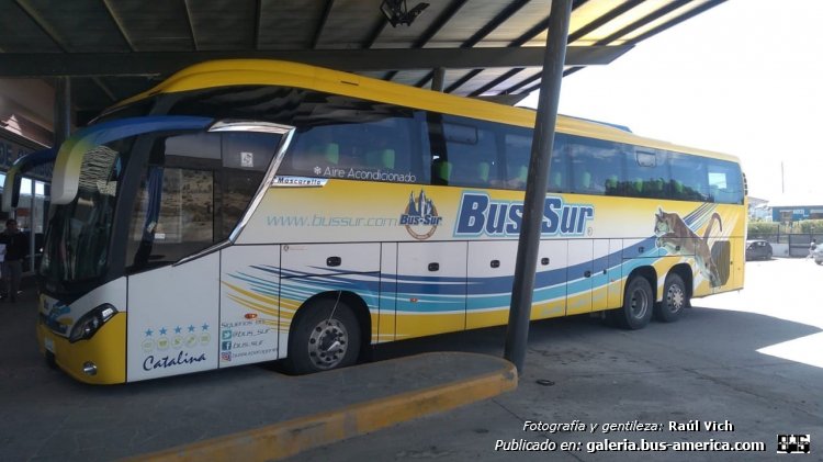 Scania K - Mascarello Roma 370 (para Chile) - Bus Sur
[url=https://bus-america.com/galeria/displayimage.php?pid=60526]https://bus-america.com/galeria/displayimage.php?pid=60526[/url]
[url=https://bus-america.com/galeria/displayimage.php?pid=60527]https://bus-america.com/galeria/displayimage.php?pid=60527[/url]
[url=https://bus-america.com/galeria/displayimage.php?pid=60528]https://bus-america.com/galeria/displayimage.php?pid=60528[/url]

Bus Sur, unidad Catalina

Fotografía y gentileza: Raúl Vich
