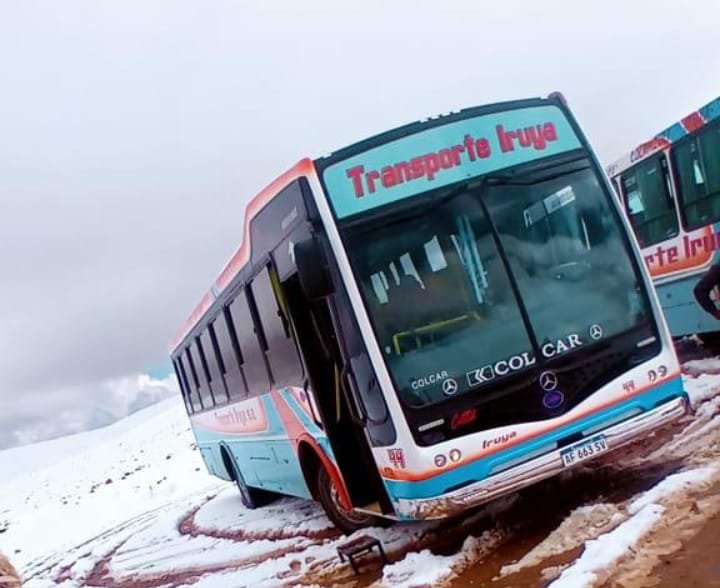 Mercedes-Benz OF 1621 - Nuovobus Cittá PH 71 - Transp. Iruya
AF 663 SV
[url=https://bus-america.com/galeria/displayimage.php?pid=68753]https://bus-america.com/galeria/displayimage.php?pid=68753[/url]
[url=https://bus-america.com/galeria/displayimage.php?pid=68754]https://bus-america.com/galeria/displayimage.php?pid=68754[/url]
[url=https://bus-america.com/galeria/displayimage.php?pid=68755]https://bus-america.com/galeria/displayimage.php?pid=68755[/url]
[url=https://bus-america.com/galeria/displayimage.php?pid=68756]https://bus-america.com/galeria/displayimage.php?pid=68756[/url]

Transp.Iruya, interno 44

Fotografía: Transporte Iruya
Colección: Lorenzo, vendedor de Colcar
Gentileza: Christian "Glaychris" Louys
