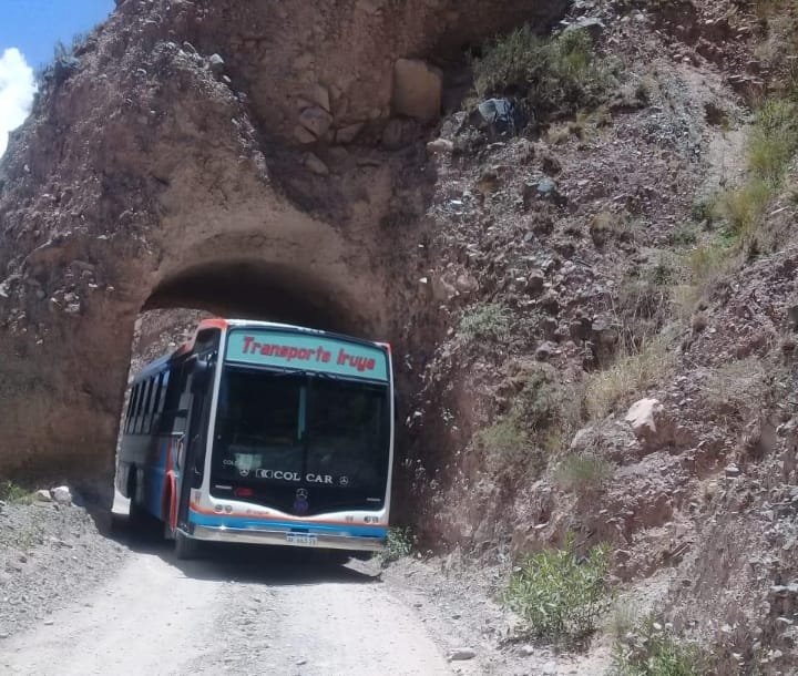 Mercedes-Benz OF 1621 - Nuovobus Cittá PH 71 - Transp. Iruya
AF 663 SV
[url=https://bus-america.com/galeria/displayimage.php?pid=68753]https://bus-america.com/galeria/displayimage.php?pid=68753[/url]
[url=https://bus-america.com/galeria/displayimage.php?pid=68754]https://bus-america.com/galeria/displayimage.php?pid=68754[/url]
[url=https://bus-america.com/galeria/displayimage.php?pid=68755]https://bus-america.com/galeria/displayimage.php?pid=68755[/url]
[url=https://bus-america.com/galeria/displayimage.php?pid=68757]https://bus-america.com/galeria/displayimage.php?pid=68757[/url]

Transp.Iruya, interno 44

Fotografía: Transporte Iruya
Colección: Lorenzo, vendedor de Colcar
Gentileza: Christian "Glaychris" Louys
