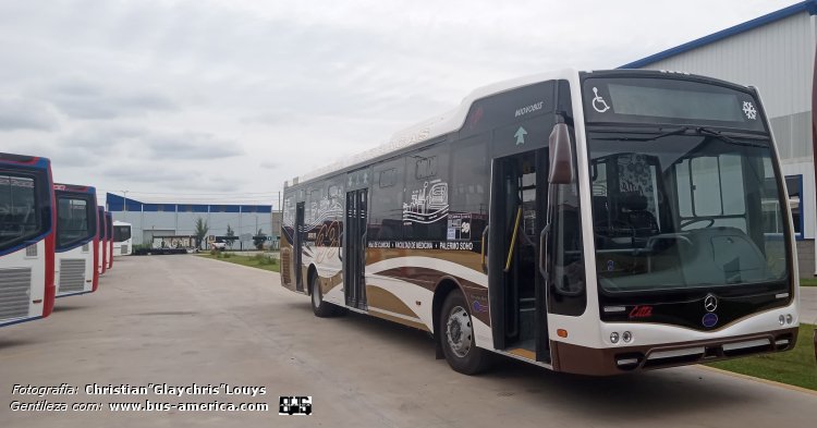 Mercedes-Benz O 500 U - Nuovobus Cittá PH 0070 - Transp. Santa Fe
[url=https://bus-america.com/galeria/displayimage.php?pid=64730]https://bus-america.com/galeria/displayimage.php?pid=64730[/url]
[url=https://bus-america.com/galeria/displayimage.php?pid=64731]https://bus-america.com/galeria/displayimage.php?pid=64731[/url]
[url=https://bus-america.com/galeria/displayimage.php?pid=64732]https://bus-america.com/galeria/displayimage.php?pid=64732[/url]
[url=https://bus-america.com/galeria/displayimage.php?pid=64733]https://bus-america.com/galeria/displayimage.php?pid=64733[/url]
[url=https://bus-america.com/galeria/displayimage.php?pid=64734]https://bus-america.com/galeria/displayimage.php?pid=64734[/url]

Línea 39 (Buenos Aires)

Fotografía y gentileza: Christian "Glaychirs" Louys

