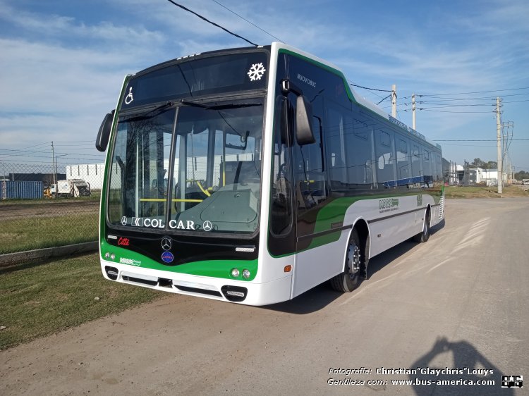 Mercedes-Benz O 500 U - Nuovobus Cittá PH 0067 - MOQSA
[url=https://bus-america.com/galeria/displayimage.php?pid=65896]https://bus-america.com/galeria/displayimage.php?pid=65896[/url]

Línea 159 (Buenos Aires)

Fotografía y gentileza: Christian Glaychris Louys
