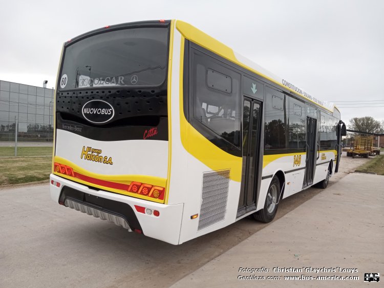 Mercedes-Benz O 500 U - Nuovobus Cittá PH 0067 - El Nuevo Halcón
[url=https://bus-america.com/galeria/displayimage.php?pid=65903]https://bus-america.com/galeria/displayimage.php?pid=65903[/url]

Línea 148 (Buenos Aires)

Fotografía y gentileza: Christian Glaychris Louys

