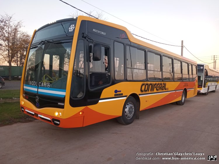 Mercedes-Benz O 500 U - Nuovobus Cittá PH 0067 - Coniferal
Coniferal (Córdoba)

Fotografía y gentileza: Christian Glaychris Louys
