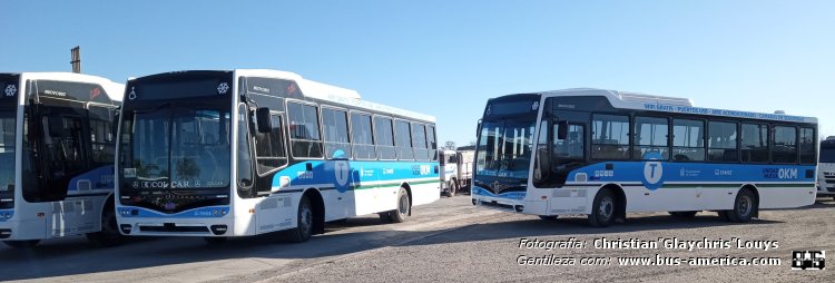 Mercedes-Benz OF 1621 - Nuovobus Cittá PH 0071 - TAMSE
UAX-0673 (patente provisoria) [derecha]
UAX-0668 (patente provisoria) [centro izquierda]
UAX-0666 (patente provisoria) [izquierda]
[url=https://bus-america.com/galeria/displayimage.php?pid=66365]https://bus-america.com/galeria/displayimage.php?pid=66365[/url]

TAMSE (Córdoba)

Fotografía y gentileza. Christian Glaycris Louys
