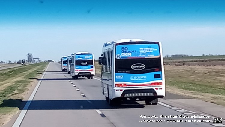 Mercedes-Benz OF 1621 - Nuovobus Cittá PH 0071 - TAMSE
[url=https://bus-america.com/galeria/displayimage.php?pid=66360]https://bus-america.com/galeria/displayimage.php?pid=66360[/url]
[url=https://bus-america.com/galeria/displayimage.php?pid=66361]https://bus-america.com/galeria/displayimage.php?pid=66361[/url]

TAMSE (Córdoba)

Fotografía y gentileza. Christian Glaycris Louys


"Caravana de Nuovobus para la TAMSE de Córdoba"
