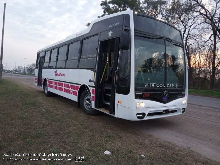 Mercedes-Benz OF 1621 - Nuovobus Cittá PH 0071 - Red Tulum
[url=https://bus-america.com/galeria/displayimage.php?pid=66320]https://bus-america.com/galeria/displayimage.php?pid=66320[/url]

Red Tulumb (Prov.San Juan)

Fotografía y gentileza: Christian "Glaychris" Louys

