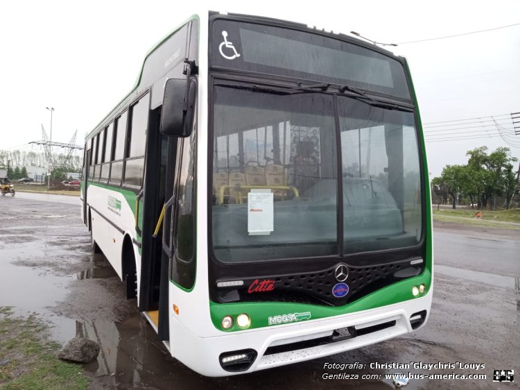 Mercedes-Benz OF 1621 - Nuovobus Cittá - MOQSA
[url=https://bus-america.com/galeria/displayimage.php?pid=63471]https://bus-america.com/galeria/displayimage.php?pid=63471[/url]

Fotografía y gentileza: Christina "Glaychris" Louys
