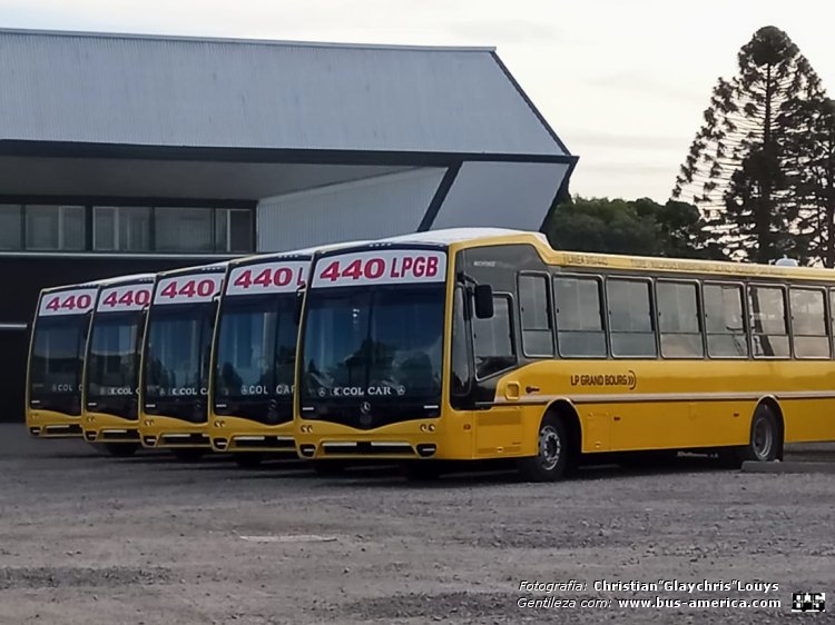 Mercedes-Benz OF 1721 - Nuovobus Cittá PH 0072 - LPGB
Línea 440 (Prov.Buenos Aires)

Fotografía y gentileza: Christian Glaychris Louys

