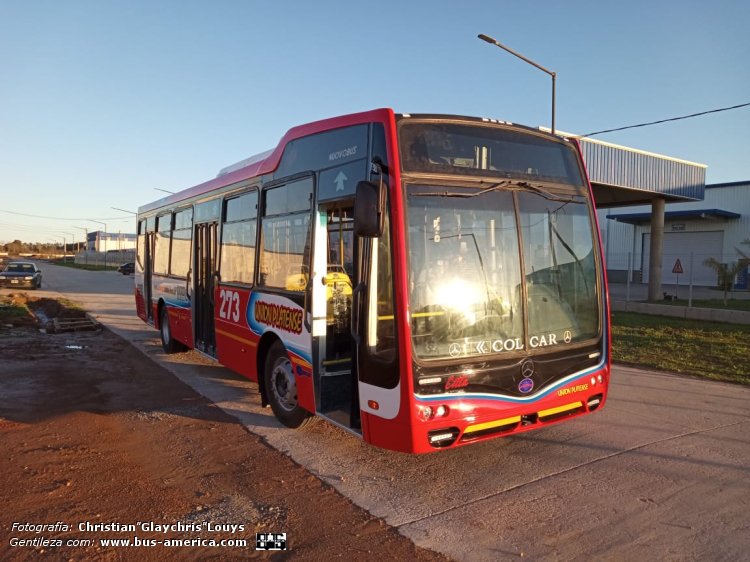 Mercedes-Benz OH 1621 L SB - Nuovobus Cittá PH 0068 - Unión Platense
[url=https://bus-america.com/galeria/displayimage.php?pid=65828]https://bus-america.com/galeria/displayimage.php?pid=65828[/url]
[url=https://bus-america.com/galeria/displayimage.php?pid=65829]https://bus-america.com/galeria/displayimage.php?pid=65829[/url]

Línea 273 (Prov. Buenos Aires)

Fotografía y gentileza: Christian Glaychris Louys
