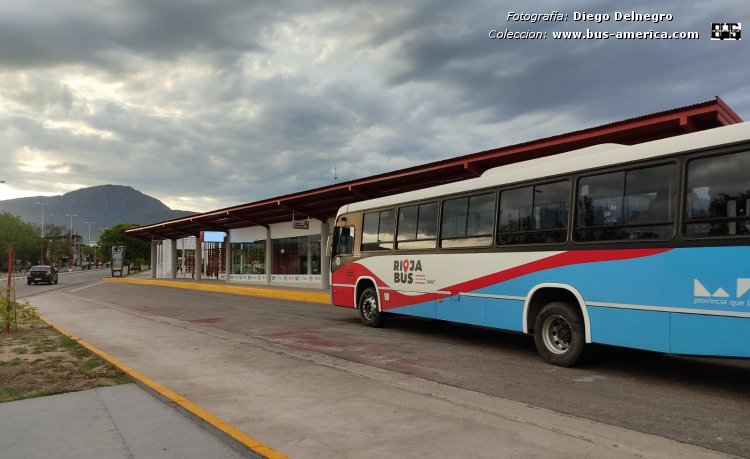 Volkswagen 17.230 OD - Marcopolo Torino - La Rioja Bus
Rioja Bus (La Rioja), interno 15


Fotografía y gentileza: Diego Delnegro
