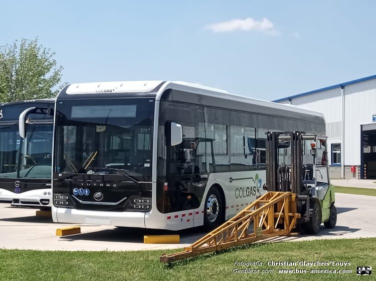 Yutong ZK6128BEVG (en Argentina) - Colgas
[url=https://bus-america.com/galeria/displayimage.php?pid=65564]https://bus-america.com/galeria/displayimage.php?pid=65564[/url]

Fotografía y gentileza: Christian Glaychris Louys
