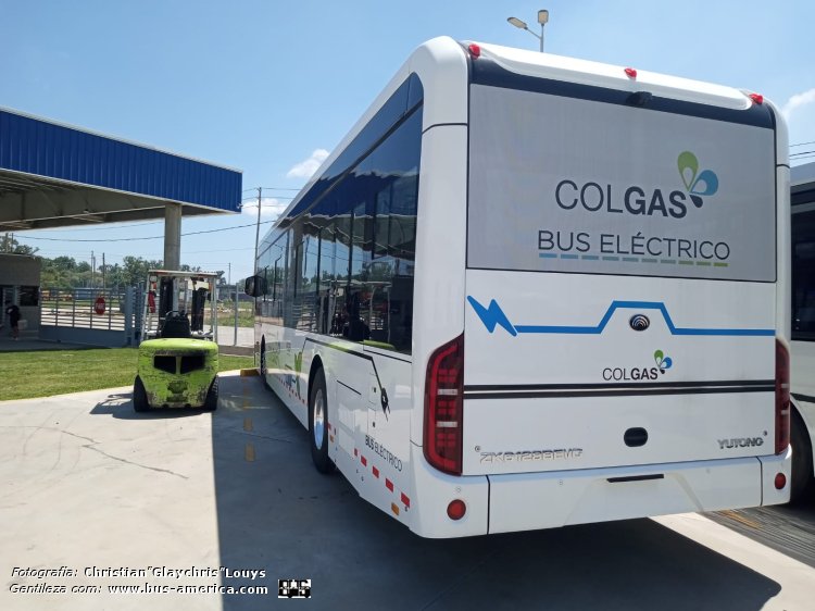 Yutong ZK6128BEVG (en Argentina) - Colgas
[url=https://bus-america.com/galeria/displayimage.php?pid=65565]https://bus-america.com/galeria/displayimage.php?pid=65565[/url]

Fotografía y gentileza: Christian Glaychris Louys
