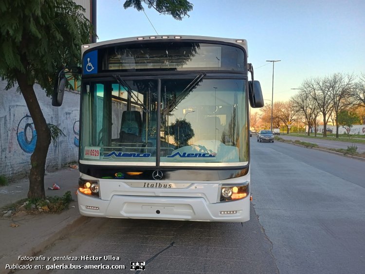 Mercedes-Benz OH 1621 L SB - Italbus Tropea Ital 89-20 - Pehuenche
UAX-0529 (patente provisoria)
[url=https://bus-america.com/galeria/displayimage.php?pid=66375]https://bus-america.com/galeria/displayimage.php?pid=66375[/url]
[url=https://bus-america.com/galeria/displayimage.php?pid=66376]https://bus-america.com/galeria/displayimage.php?pid=66376[/url]
[url=https://bus-america.com/galeria/displayimage.php?pid=66378]https://bus-america.com/galeria/displayimage.php?pid=66378[/url]
[url=https://bus-america.com/galeria/displayimage.php?pid=66379]https://bus-america.com/galeria/displayimage.php?pid=66379[/url]

Línea 911 (Neuquén & Rio Negro)

Fotografía y gentileza: Héctor Ulloa

