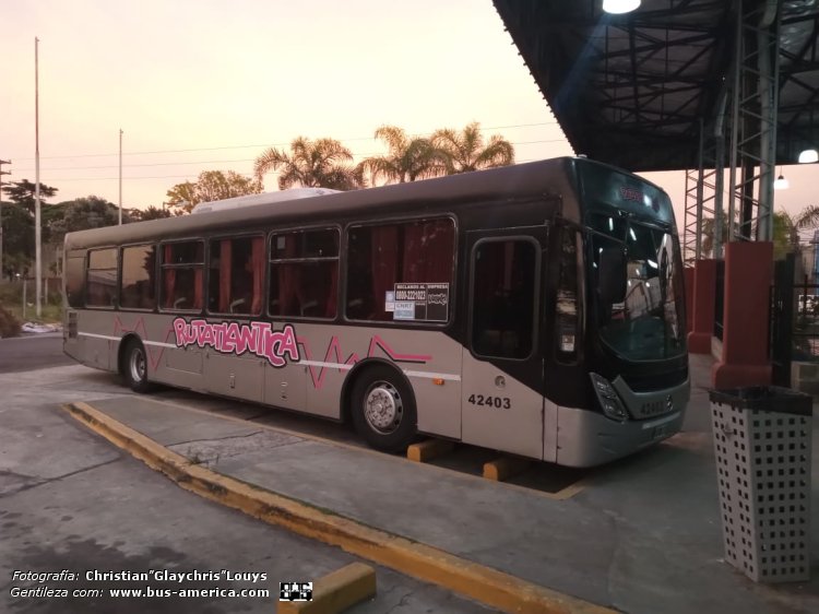 Mercedes-Benz O 500 U - Ugarte Europeo 2007 97 reformado - Rutatlántica
OHV 989
[url=https://bus-america.com/galeria/displayimage.php?pid=67890]https://bus-america.com/galeria/displayimage.php?pid=67890[/url]
[url=https://bus-america.com/galeria/displayimage.php?pid=67892]https://bus-america.com/galeria/displayimage.php?pid=67892[/url]

Rutatlántica, interno 42403

Fotografía y gentileza: Christian "Glaychris" Louys
