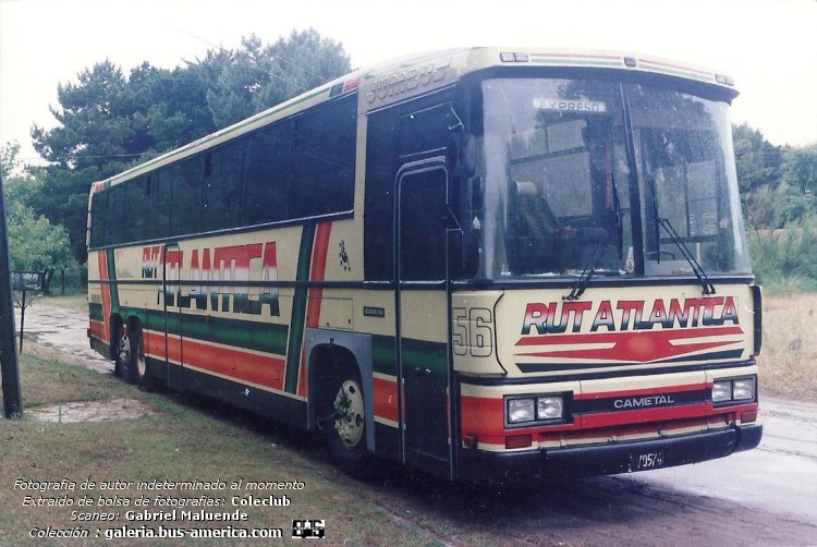 Scania K 112 - Cametal Jumbus - Rutatlantica
B.2170574

Rutatlantica (Prov.Buenos Aires), interno 56

Fotógrafo: desconocido al momento
Extraído de bolsa de fotografías del Coleclub
Scaneo: Gabriel Maluende
Colección: www.bus-america.com
