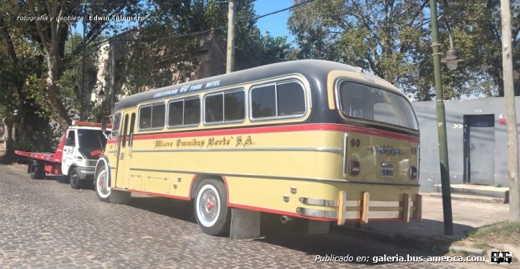 Mercedes-Benz LO 1114 - El Cóndor - Micro Omnibus Norte [vehículo para exposición]
VJQ 529 - ex patente C.669846
[url=https://bus-america.com/galeria/displayimage.php?pid=62822]https://bus-america.com/galeria/displayimage.php?pid=62822[/url]
[url=https://bus-america.com/galeria/displayimage.php?pid=62823]https://bus-america.com/galeria/displayimage.php?pid=62823[/url]
[url=https://bus-america.com/galeria/displayimage.php?pid=62824]https://bus-america.com/galeria/displayimage.php?pid=62824[/url]

Línea 60 (Buenos Aires), interno 60 [vehículo para exposición]


Fotogrrafía y gentileza: Daniel Chananpa
