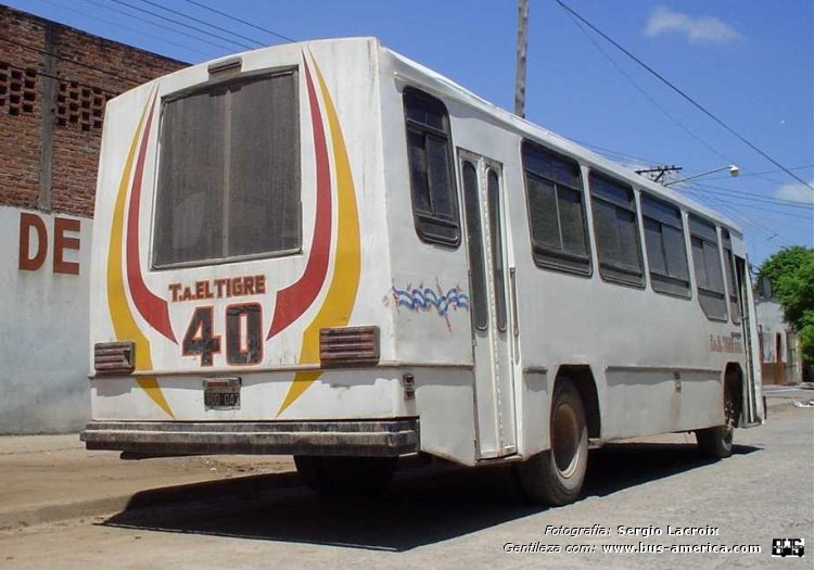 Mercedes-Benz OF 1214 - El Trapiche - El Tigre
TOD 043 - ex patente M.269380
[url=https://bus-america.com/galeria/displayimage.php?pid=62705]https://bus-america.com/galeria/displayimage.php?pid=62705[/url]
[url=https://bus-america.com/galeria/displayimage.php?pid=62706]https://bus-america.com/galeria/displayimage.php?pid=62706[/url]
[url=https://bus-america.com/galeria/displayimage.php?pid=62708]https://bus-america.com/galeria/displayimage.php?pid=62708[/url]
[url=https://bus-america.com/galeria/displayimage.php?pid=62709]https://bus-america.com/galeria/displayimage.php?pid=62709[/url]
[url=https://bus-america.com/galeria/displayimage.php?pid=62711]https://bus-america.com/galeria/displayimage.php?pid=62711[/url]
[url=https://bus-america.com/galeria/displayimage.php?pid=62712]https://bus-america.com/galeria/displayimage.php?pid=62712[/url]

El Tigre (Prov. Tucumán), interno 40
Ex línea 122 (Prov. Tucumán), interno 40 [2006-2007]
Ex líneas 40 (Mendoza), interno 45 [1991-2006]
Ex línea 4 (Mendoza), interno 45 [1990-1991]

Fotografía y gentileza: Sergio Lacroix

Para conocer la historia completa de esta carrocería haga click en: 
[url=https://www.bus-america.com/ARcarrocerias/ElTrapiche/ElTrapiche-histo.php]EL TRAPICHE,  historia de sus carrocerías[/url]
