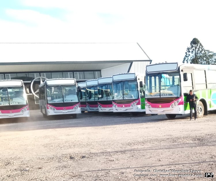 Mercedes-Benz OF 1621 - BiMet Corbus OF 1621 U - Fermoza
Fermoza (Formoza)

Fotografía y gentileza: Christian Glaychris Louys

El nuevo servicio que se viene en junio en Formoza
