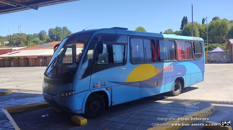 Mercedes-Benz LO 915 - Marcopolo G7 Senior (en Chile) - Galicia
MZ 97 57
[url=https://bus-america.com/galeria/displayimage.php?pid=68133]https://bus-america.com/galeria/displayimage.php?pid=68133[/url]

Galicia (Reg.Los Ríos), unidad 021


Fotografía y gentileza: Diego Delnegro
