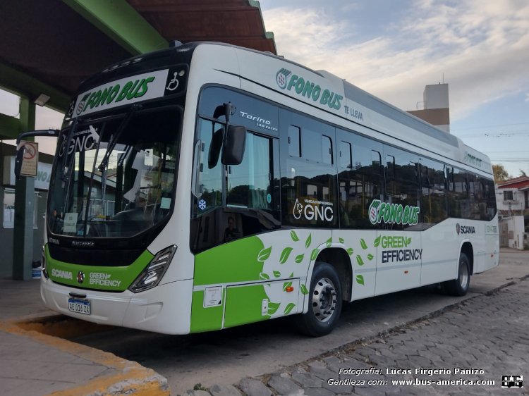 Scania K 280 B - Marcopolo Torino Low Entry (en Argentina) - Fonobus
AE 016 ZA
[url=https://bus-america.com/galeria/displayimage.php?pid=46777]https://bus-america.com/galeria/displayimage.php?pid=46777[/url]
[url=https://bus-america.com/galeria/displayimage.php?pid=52961]https://bus-america.com/galeria/displayimage.php?pid=52961[/url]
[url=https://bus-america.com/galeria/displayimage.php?pid=53088]https://bus-america.com/galeria/displayimage.php?pid=53088[/url]
[url=https://bus-america.com/galeria/displayimage.php?pid=53089]https://bus-america.com/galeria/displayimage.php?pid=53089[/url]
[url=https://bus-america.com/galeria/displayimage.php?pid=55862]https://bus-america.com/galeria/displayimage.php?pid=55862[/url]
[url=https://bus-america.com/galeria/displayimage.php?pid=55862]https://bus-america.com/galeria/displayimage.php?pid=55863[/url]
[url=https://bus-america.com/galeria/displayimage.php?pid=62848]https://bus-america.com/galeria/displayimage.php?pid=62848[/url]

Fonobus (Prov.Córdoba)
Ex línea 21 (San Salvador de Jujuy), interno 112
Ex línea 911 (Neuquén - Rio Negro)
Ex línea 132 (Buenos Aires), interno 110

Fotografía y gentileza: Lucas Frigerio Panizo
