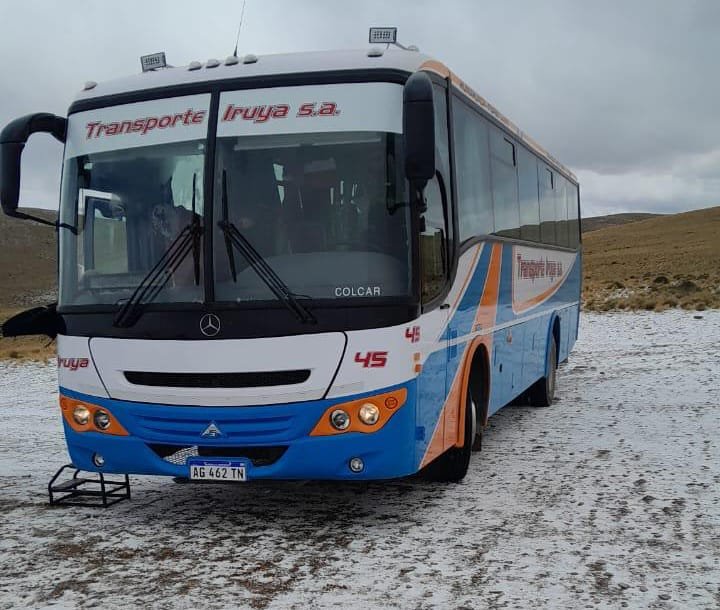 Mercedes-Benz OF 1621 - Saldivia Aries 2 325 - Transp.Iruya
AG 462 TN
[url=https://bus-america.com/galeria/displayimage.php?pid=64677]https://bus-america.com/galeria/displayimage.php?pid=64677[/url]
[url=https://bus-america.com/galeria/displayimage.php?pid=64678]https://bus-america.com/galeria/displayimage.php?pid=64678[/url]
[url=https://bus-america.com/galeria/displayimage.php?pid=68759]https://bus-america.com/galeria/displayimage.php?pid=68759[/url]

Transp.Iruya, interno 45

Fotografía: Transporte Iruya
Colección: Lorenzo, vendedor de Colcar
Gentileza: Christian "Glaychris" Louys
