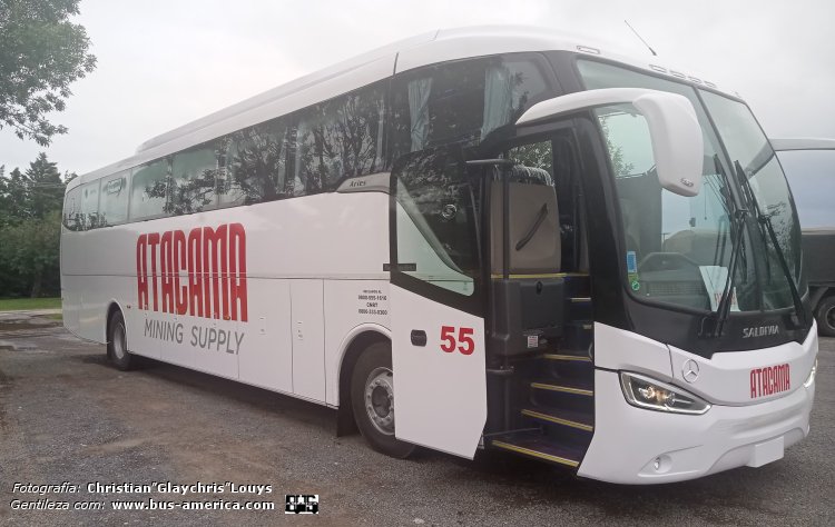 Mercedes-Benz O 500 M - Saldivia A365/1200 - Atacama
AG 557 HQ
[url=https://bus-america.com/galeria/displayimage.php?pid=66046]https://bus-america.com/galeria/displayimage.php?pid=66046[/url]

Atacama, interno 55

Fotografía y gentileza: Christian "Glaychris" Louys
