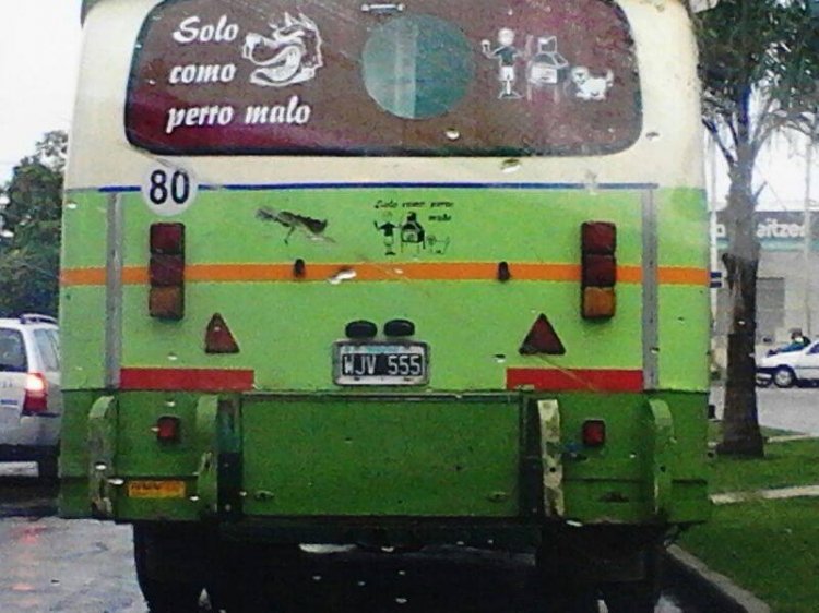 Bedford J6LZ1 - Caseros
U.018417 - WJB555 
http://galeria.bus-america.com/displayimage.php?pid=30908
http://galeria.bus-america.com/displayimage.php?pid=30907

Fotografía: Blas Schmidt
