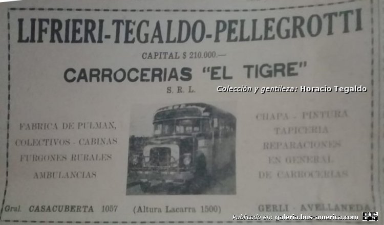 International AC 160 - El Tigre - Exp. Villa Caraza
[url=https://bus-america.com/galeria/displayimage.php?pid=47697]https://bus-america.com/galeria/displayimage.php?pid=47697[/url]
[url=https://bus-america.com/galeria/displayimage.php?pid=60380]https://bus-america.com/galeria/displayimage.php?pid=60380[/url]
[url=https://bus-america.com/galeria/displayimage.php?pid=60381]https://bus-america.com/galeria/displayimage.php?pid=60381[/url]

Publicación de Avellaneda
Colección y gentileza: Horacio Teglado

Podés conocer algo de la historia de esta carrocería en: [url=https://www.bus-america.com/ARcarrocerias/ElTigre/ElTigre.htm]El Tigre (una carrocería que no conocíamos)[/url]
